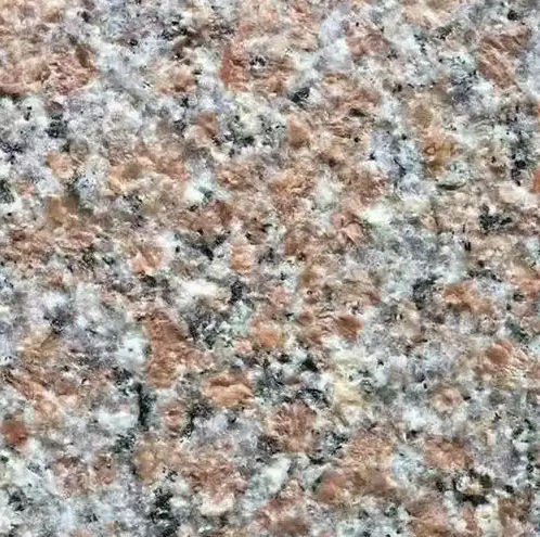 1742895829812.jpg
