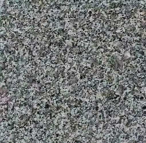 1742895969803.jpg