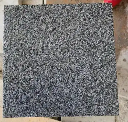 1742894744265.jpg