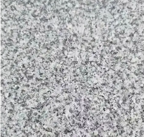 1742894542129.jpg