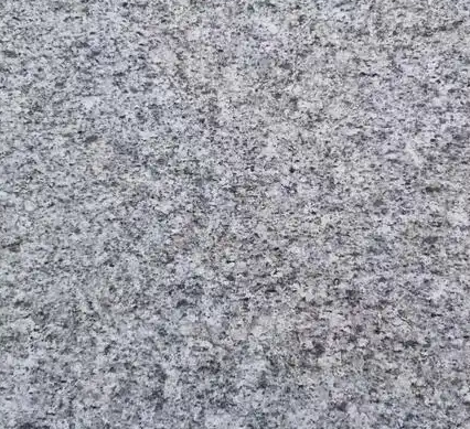 1742894565512.jpg