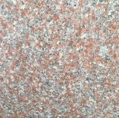 1742895885057.jpg