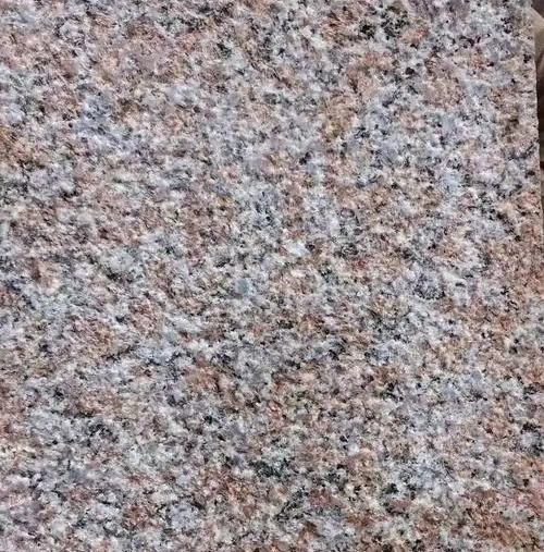 1742895857193.jpg
